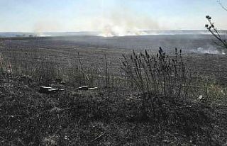 Yangında 30 dekar alan kül oldu