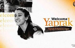 Yaprak Erkek, Eczacıbaşı Dynavit’te