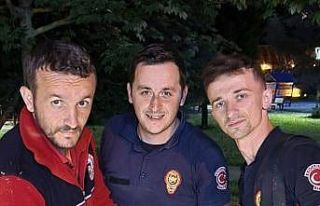 Yaramaz kedinin imdadına itfaiye ekipleri yetişti