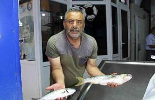 Yaz aylarında tezgâhlar kültür balıklarına kaldı