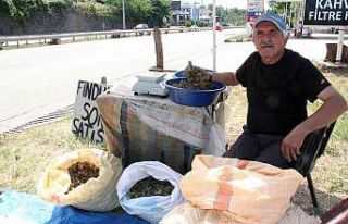 Yeni sezon fındığı yol kenarlarında satışa...