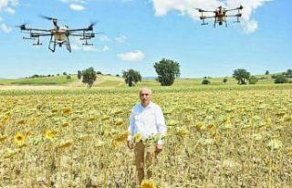 Yenişehir’de çayır tırtılı zararlısına anında...