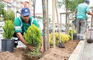 Yeşil Aksaray için ağaçlandırma çalışmaları...