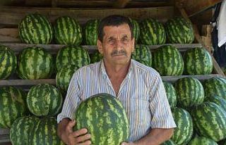 Yetiştirdiği organik karpuzları yol kenarında...