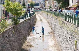 Yıldırım’da hijyen harekatı
