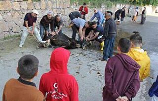 Yine çocuklar, yine aynı manzara