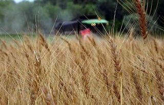 Yozgat’ta hububat hasat günü etkinliği düzenlendi