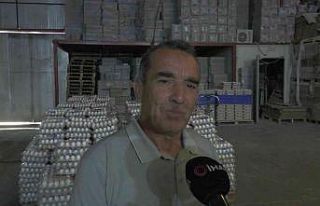 Yumurta üretimi durma noktasında