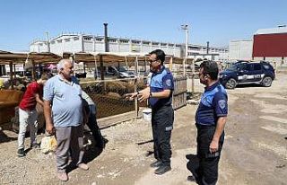 Zabıtadan kurban satış yerlerinde denetim