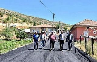 Zelyurt, asfalt çalışmalarını yerinde inceledi