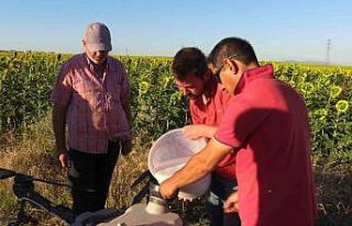 Zirai ilaçlamada yeni dönem