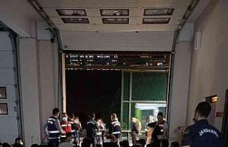 117 düzensiz göçmen ülkelerine gönderildi