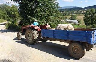 250 yıllık sütunlar kayıptı, ünlü ailenin villasında...