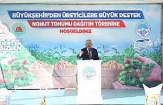 260 ton nohutun hasadına başlanacak