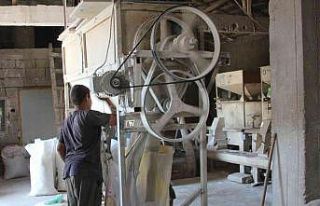 30 yıllık değirmende doğal un üretimi