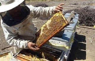 32 yıllık arıcından sahte bal uyarısı