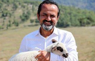 6 aile koyun projesi ile yeniden köyüne döndü