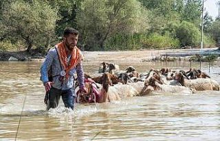 8 asırlık geleneğe şap engeli