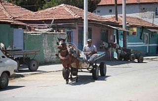 Acarlar’da at arabacılarının zorlu yaşam mücadelesi...