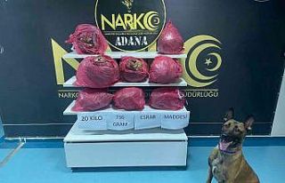 Adana’da 20 kilo 736 gram esrar ele geçirildi