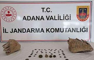 Adana’da mamut fosili ele geçirildi