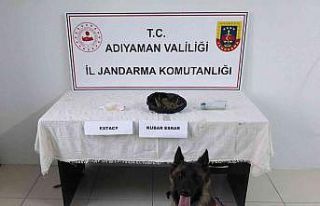 Adıyaman’da uyuşturucu operasyonu: 1 şahıs tutuklandı