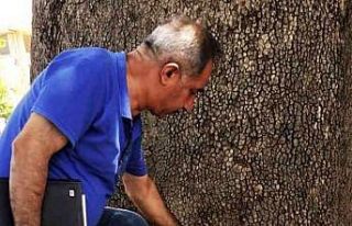 Adıyaman’daki 270 yıllık anıt ağaca zarar verenler...