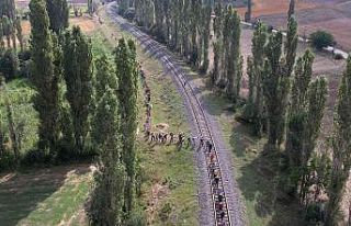 Afyon’dan İzmir’e Zafer Yürüyüşü devam ediyor