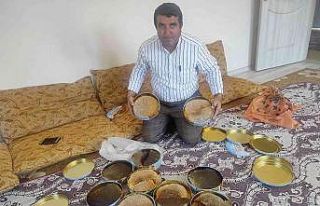 Ağaç kovuklarından çıkardıkları balın kilosunu...