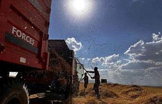 Ağrılı çiftçiler verim aldıkları topraklarda...