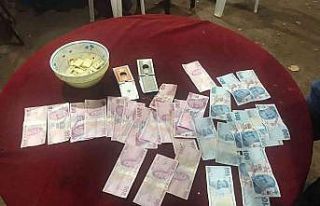 Alanya’da jandarmadan kumar operasyonu