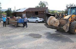Altınkılıç ailesi, kaybolan sütunlarla ilgili...