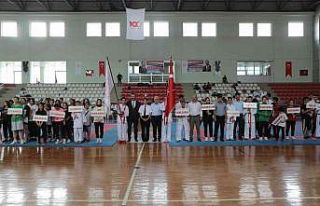 Anadolu Yıldızları Ligi karate finalleri İskenderun’da...