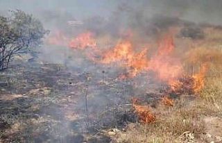 Anız yangını korkuttu