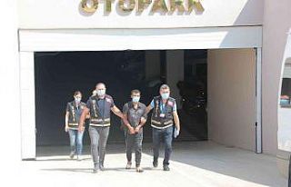 Antalya’da aranan 35 zanlı yakalandı