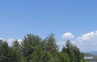 Araç su tahliye kanalına uçtu: 3 yaralı