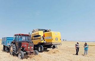 Aslanapa’da biçerdöver kontrolleri