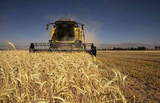 Atatürk Üniversitesi ekin hasadına başladı