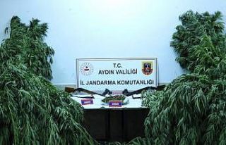 Aydın’da 5 şahıs uyuşturucudan tutuklandı