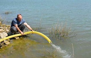 Ayvacık’ta baraj ve gölete 110 bin adet sazan...