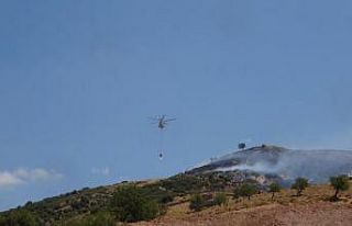 Ayvacık’ta çıkan orman yangını kontrol altında