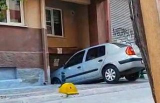 Bacağı ve kuyruğu olmayan kediyi tedavi ettirip...