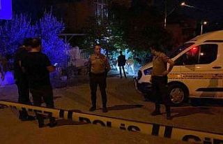 Baldızını ve oğlunu öldürüp, bacanağını...