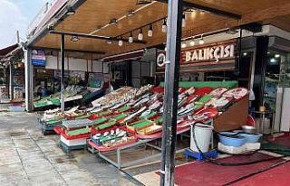 Balıkçılar bu sezon bolluk bekliyor, ’Vira Bismillah’...