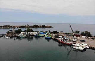 Balıkçıların umudu palamut: “Palamut şimdiden...