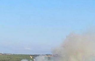 Balıkesir Susurluk’taki orman yangını kontrol...