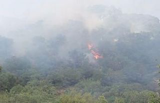 Balıkesir’deki orman yangınına anında müdahale