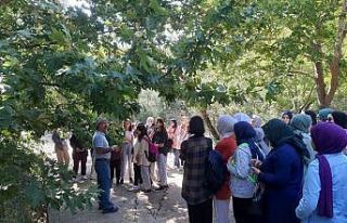 Balıkesirli gençler doğada enerji depoladı