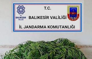 Bandırma’da uyuşturucu operasyonu: 1 kilogram...