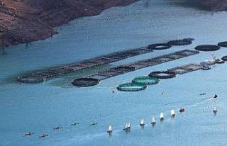 Baraj gölünde yelken eğitimi